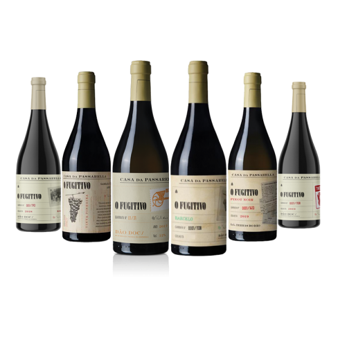 Cabaz Fugitivo Curtimenta+Tinta Pinheira+Barcelo+Pinot Noir+Tinto Cão+Baga